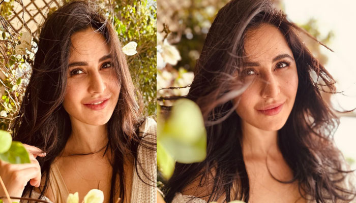 Katrina Kaif was last seen in Phone Bhoot