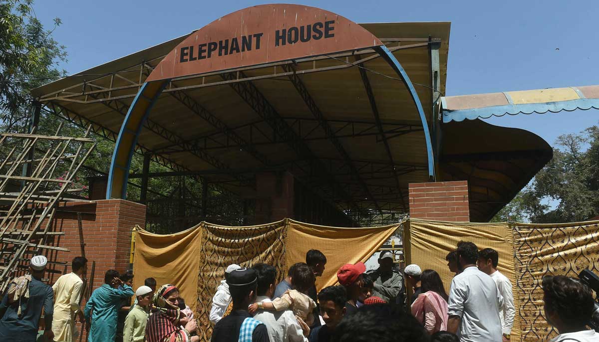 Visitors gather outside the enclosure of elephant Noor Jehan following its death at Karachi Zoological Gardens in Karachi on April 22, 2023. — AFP