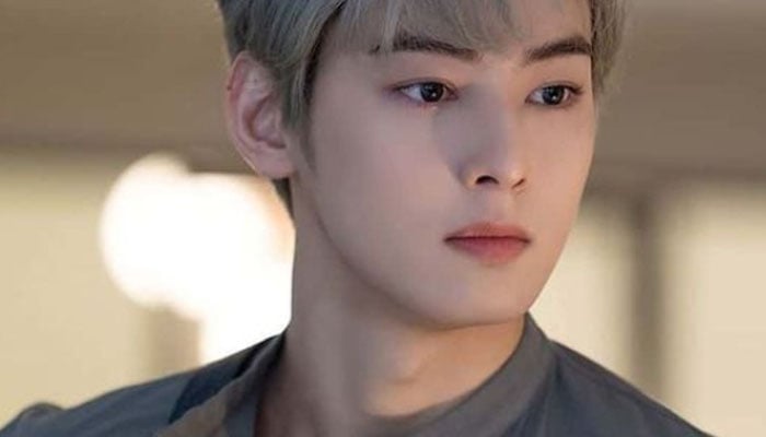 The idol had previously been in the United States but flew back to Korea on April 20th