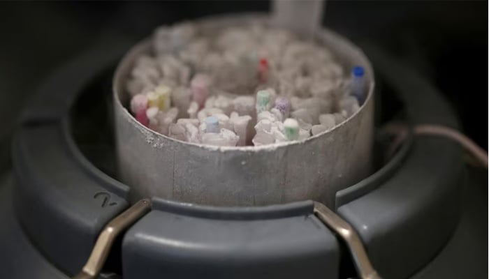 Frozen vials of sperm are seen preserved in an azote-cooled container in a laboratory in Paris, France, September 13, 2019. — Reuters