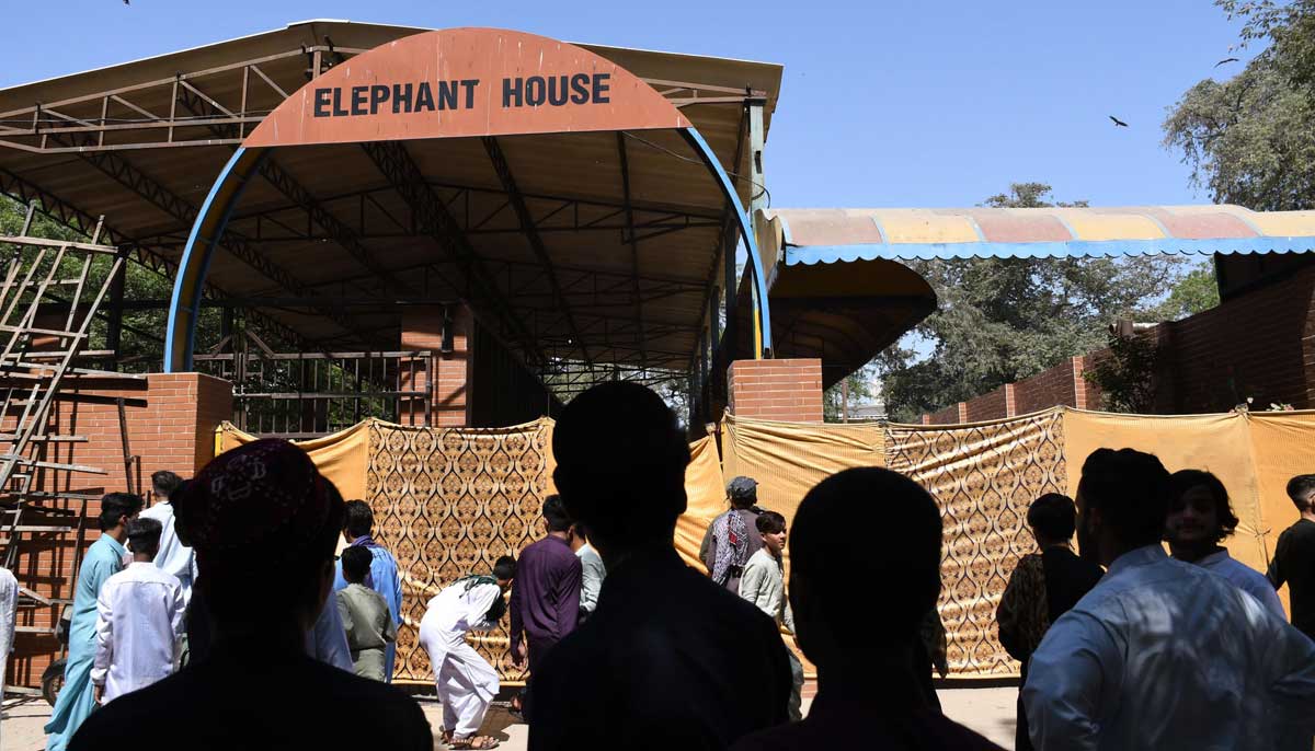 Zoo staff build covers around the dead body of elephant Noor Jehan after it passed away at the Karachi Zoo on April 4, 2023. — Online