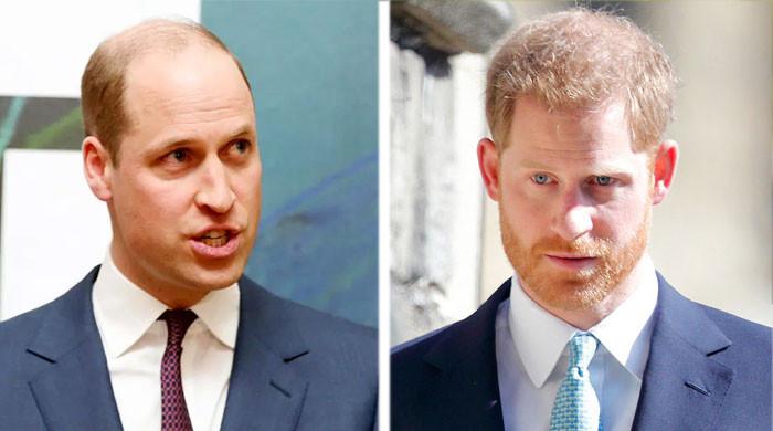 Prince William releasing own documentary after Prince Harry