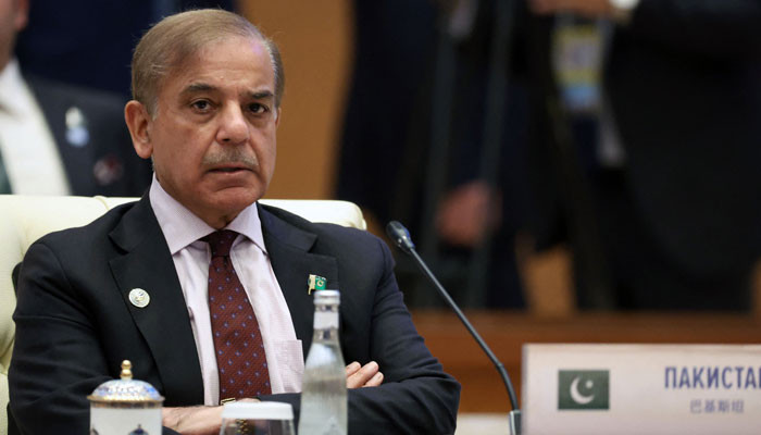PM Shehbaz berates PTI for creating controversy over Bilawal's India visit - Vimarsana News
