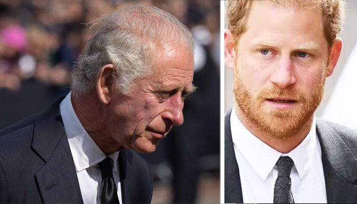 Prince Harry ‘holding relationships hostage’ till Netflix doc, Spares broadcasted