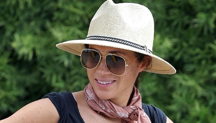 Meghan Markle ‘too ready to strike’ at ‘any given time’