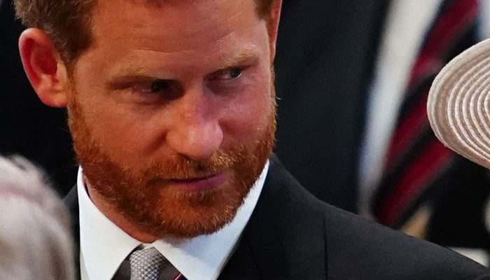 Prince Harry ‘moaning about victimization’: ‘Don’t take the British for fools’