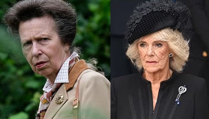 Princess Anne, King Charles sister, reportedly confronted her sister-in-law Camilla over her new Queen title