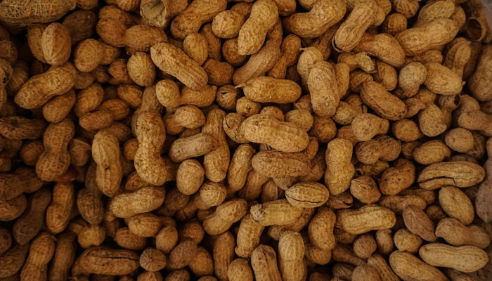 Wearable patches may help prevent peanut allergies in toddlers: study