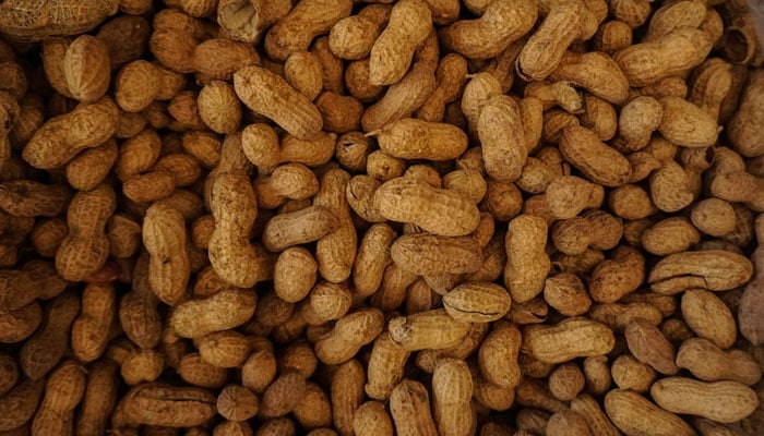 Peanuts are seen in this picture. — Unsplash/File