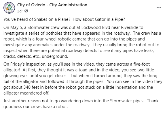 WATCH: Five-foot-long alligator roaming in stormwater pipe in Florida