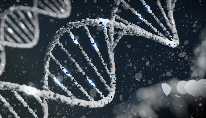 A representational image of a DNA. — Unsplash/File