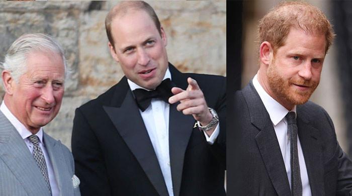 Prince William, King Charles prepared for fresh Prince Harry attacks