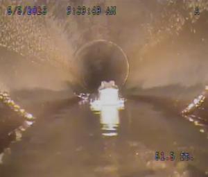 WATCH: Five-foot-long alligator roaming in stormwater pipe in Florida