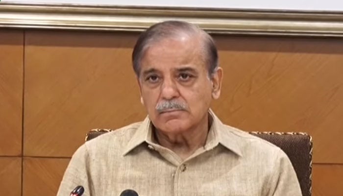 Prime Minister Shehbaz Sharif is addressing the media after visiting the Punjab Safe City Authority Headquarters in Lahore. — Screengrab/PTV News