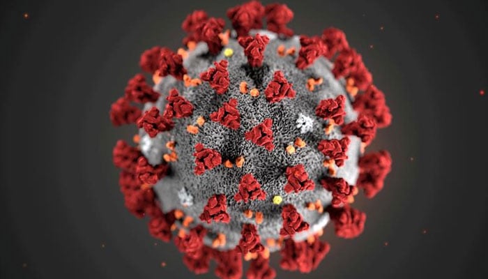 2019 نوول کورونا وائرس (2019-nCoV) کے ذریعے نمائش شدہ الٹرا سٹرکچرل مورفولوجی۔  - رائٹرز/فائل