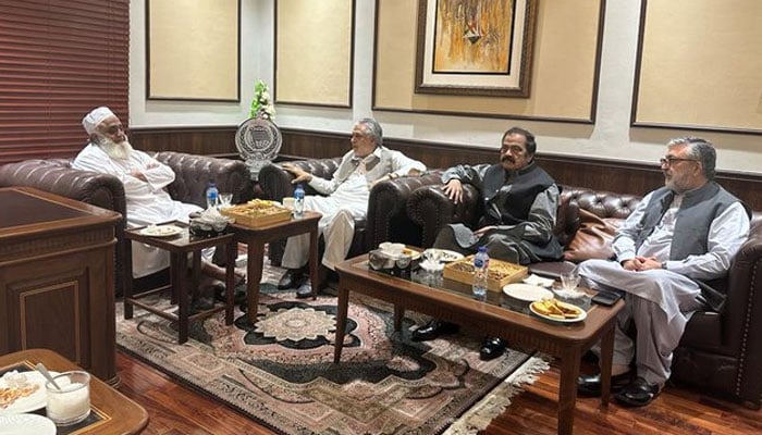 (بائیں سے دائیں) جمعیت علمائے اسلام (ف) کے سربراہ مولانا فضل الرحمان، وزیر خزانہ اسحاق ڈار اور وزیر داخلہ رانا ثناء اللہ اجلاس کر رہے ہیں۔  — ٹویٹر @juipakofficial
