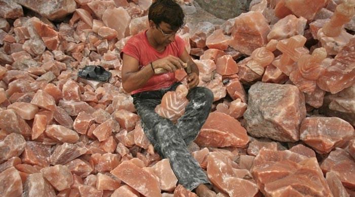 US firm mulls investment in Pakistan's pink salt industry 