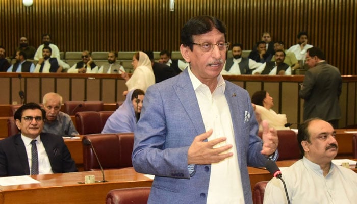 Federal Minister for Information Technology and Telecommunication Syed Amin-ul-Haque addressing the National Assembly. — National Assembly
