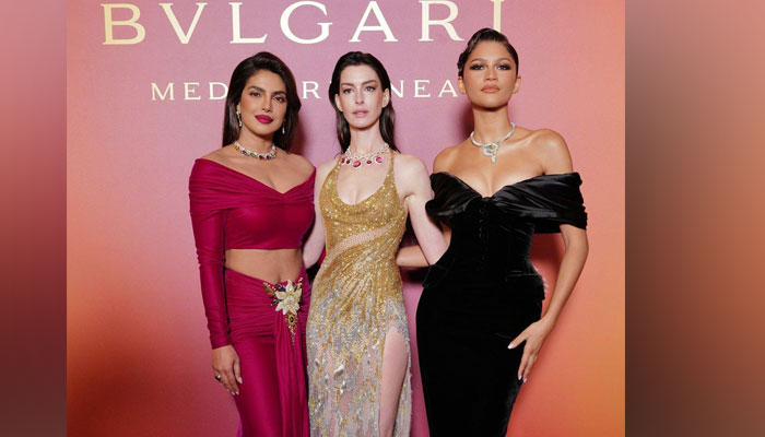 Anne Hathaway Glitters in Versace Dress at Bulgari Jewelry Show