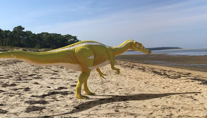 Illustration shows the newly discovered Cretaceous Period, meat-eating dinosaur Protathlitis cinctorrensis from Spain.Reuters