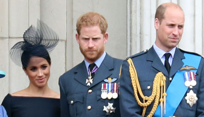 Prince Harry, Meghan Markle face fresh criticism from Prince Williams friend