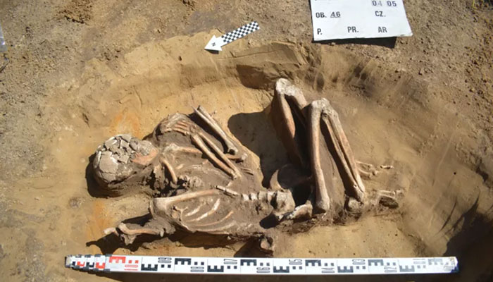 The picture shows a 7,000-year-old skeleton found in Poland. — Live Science