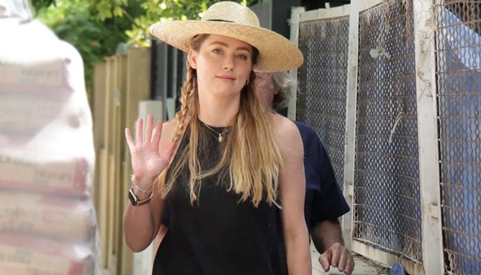 Amber Heard lands in trouble yet again?