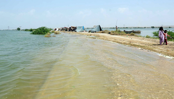 People wade through a flooded area in Sehwan Sharif in Sindh on September 6, 2022. — Online