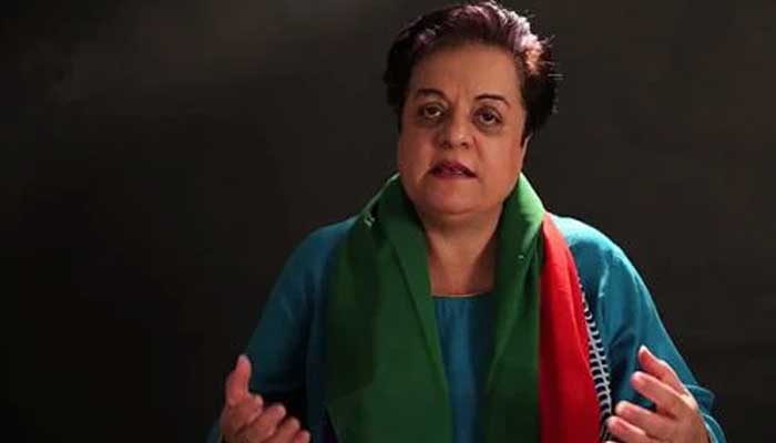 PTI Senior Vice-President Dr Shireen Mazari. Twitter/PTIOfficial