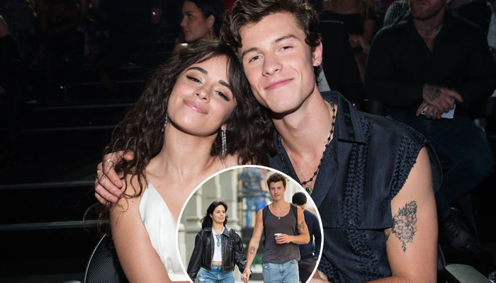 Shawn Mendes, Camila Cabello reunite for a romantic stroll in New York City