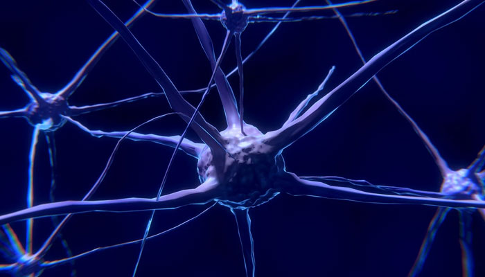 Penemuan sinyal otak untuk nyeri kronis meningkatkan harapan pengobatan