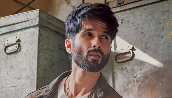 Shahid Kapoor will next be seen in action film Bloody Daddy