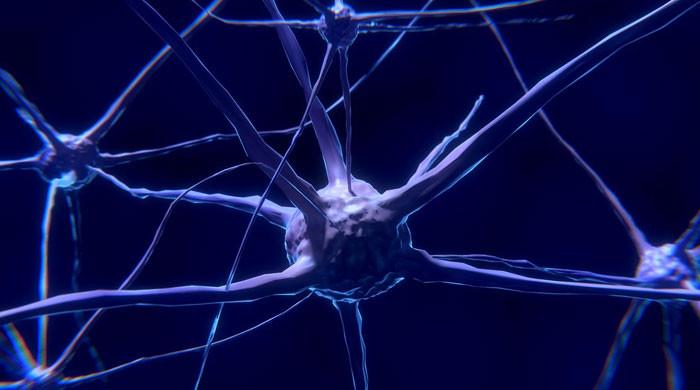 Discovery of brain signals for chronic pain raises treatment hopes
