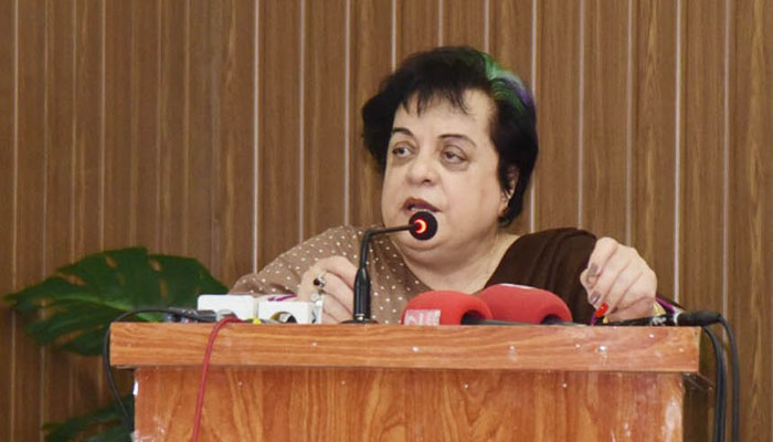 Former PTI leader Shireen Mazari speaks during an event in this undated picture. — NNI/File