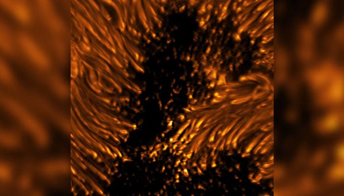 Dots and filaments glow within and around a sunspot.—NSF/AURA/NSO