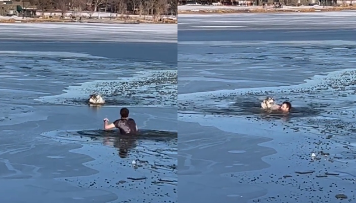 The picture shows a man saving a dogs life in Sloan Lake in Colorado, USA. — Instagram/@Holly Morphew