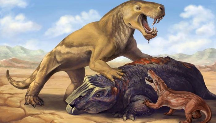 This undated illustration shows the Permian Period tiger-sized sabre-toothed protomammal Inostrancevia atop its dicynodont prey, scaring off the much smaller species Cyonosaurus. — Reuters/File