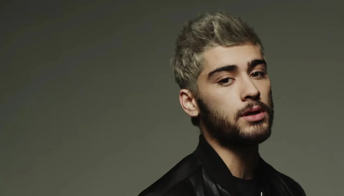 'I owe my life to you': Zayn Malik thanks fans as he returns to Twitter - Vimarsana News