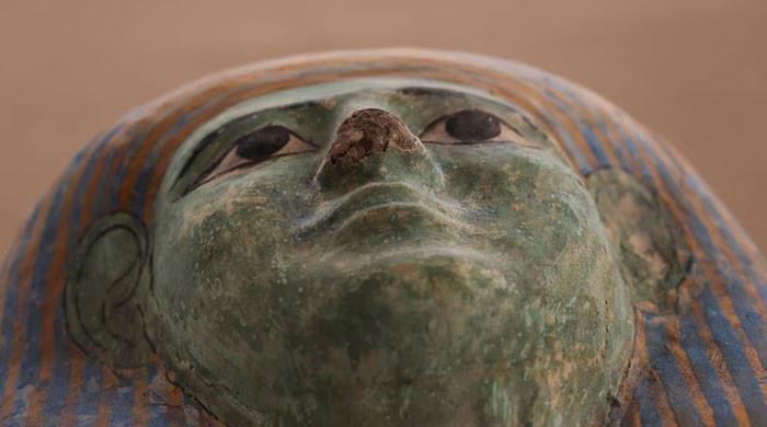 Egypt's ancient burial ground reveals mummification workshops and tombs