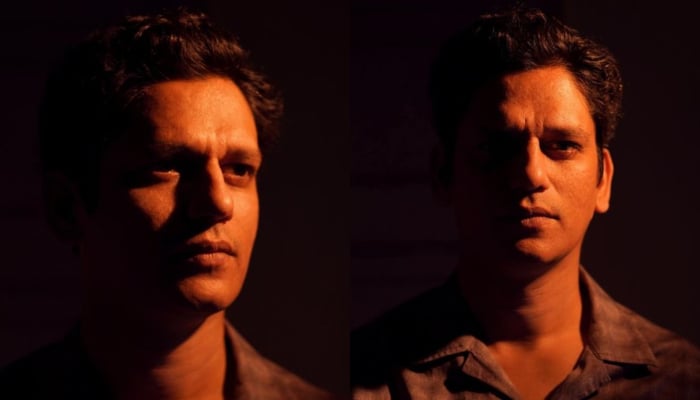 Vijay Varma elaborates his response by qouting example of Dahaad and Darlings