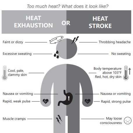 An infographic showing the difference between heat exhaustion and heat stroke. — Weather Ready Nation