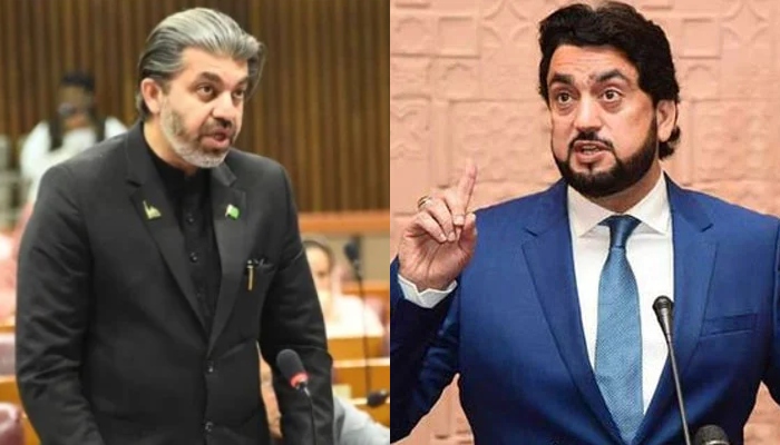 Pakistan Tehreek-e-Insaf leader Ali Muhammad Khan (Left) and Shehryar Afridi (Right). — Twitter/@GovtofPakistan/NAofPakistan/File