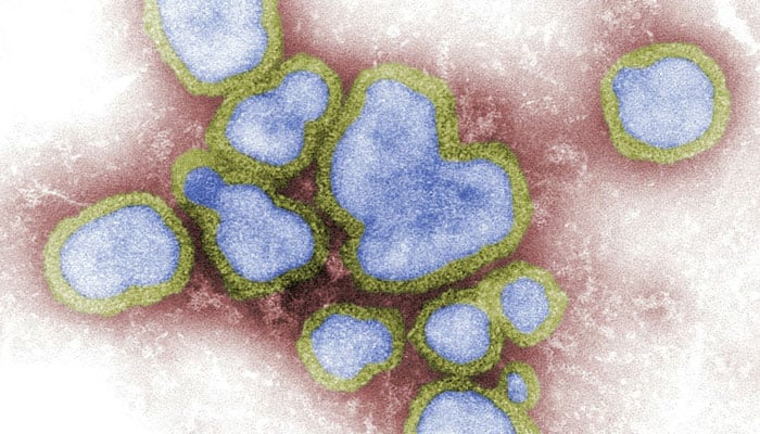 A representational image of a virus can be seen. — Unsplash/File