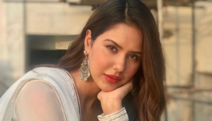 Sonam Bajwa disclosed that she had turned down several Bollywood projects in the past