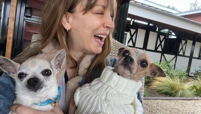 Kaley Cuoco berduka atas hilangnya Chihuahua Dump Truck tercinta