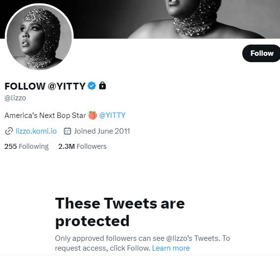 Lizzo expresses her frustration over body-shaming comments: ‘hate it here’