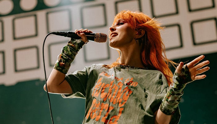 Paramores Hayley Williams stops show to scold miscreants