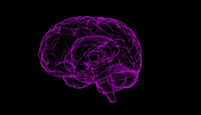 New study reveals shape of brain may influence human behaviour