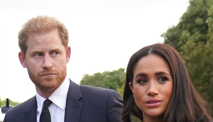 Prince Harry, Meghan Markle’s ‘poked the wrong bear’ with NYC stint