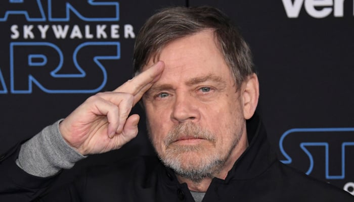 Mark Hamill is best known for his portrayal of Luke Skywalker in the Star Wars series
